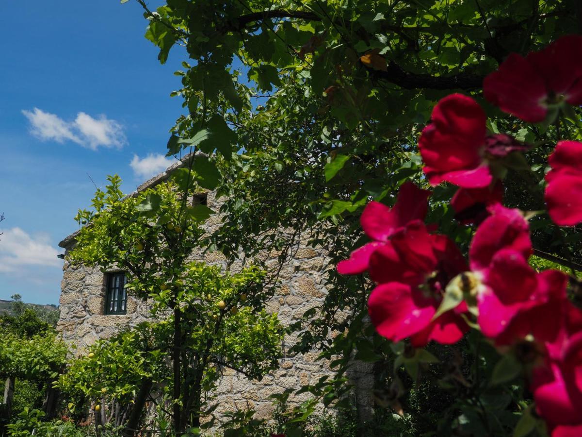 Casa De Pereiro Konuk evi Soajo Dış mekan fotoğraf